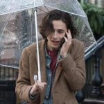 Тимоти Шаламе пожертвовал отношениями с Вуди Алленом ради «Оскара»